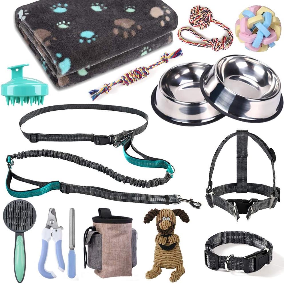Leads, Grooming & Accessories