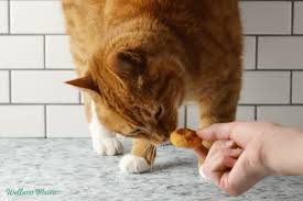 Cat Treats