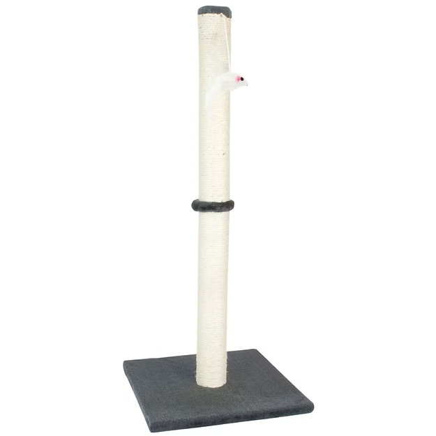 Interactive grey scratching post